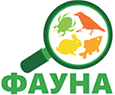 Фауна